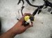 2021 Toyota Corolla Dashboard Instrument Wire Harness 82141 1TN42 Replacement 2021 Toyota Corolla Dashboard Instrument Wire Harness 82141 1TN42 Replacement thumbnail
