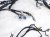2024 Honda Accord Dash Instrument Wire Harness Ex l 77961 30A 8Q03A Replacement 2024 Honda Accord Dash Instrument Wire Harness Ex l 77961 30A 8Q03A Replacement thumbnail