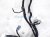 2024 Honda Accord Dash Instrument Wire Harness Ex l 77961 30A 8Q03A Replacement 2024 Honda Accord Dash Instrument Wire Harness Ex l 77961 30A 8Q03A Replacement thumbnail