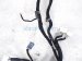 2024 Honda Accord Dash Instrument Wire Harness Ex l 77961 30A 8Q03A Replacement 2024 Honda Accord Dash Instrument Wire Harness Ex l 77961 30A 8Q03A Replacement thumbnail