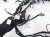 2024 Honda Accord Dash Instrument Wire Harness Ex l 77961 30A 8Q03A Replacement 2024 Honda Accord Dash Instrument Wire Harness Ex l 77961 30A 8Q03A Replacement thumbnail