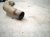 2023 Jeep Cherokee Rear Exhaust Muffler W/pipe 2.4l Awd 68349052AB Replacement 2023 Jeep Cherokee Rear Exhaust Muffler W/pipe 2.4l Awd 68349052AB Replacement thumbnail