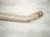2023 Jeep Cherokee Rear Exhaust Muffler W/pipe 2.4l Awd 68349052AB Replacement 2023 Jeep Cherokee Rear Exhaust Muffler W/pipe 2.4l Awd 68349052AB Replacement thumbnail