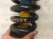 2019 Toyota Tacoma Front Driver Strut + Spring Bilstein 48510 04190 Replacement 2019 Toyota Tacoma Front Driver Strut + Spring Bilstein 48510 04190 Replacement thumbnail