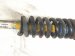 2019 Toyota Tacoma Front Passenger Strut + Spring Bilstein 48510 04190 Replacement 2019 Toyota Tacoma Front Passenger Strut + Spring Bilstein 48510 04190 Replacement thumbnail