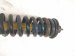 2019 Toyota Tacoma Front Passenger Strut + Spring Bilstein 48510 04190 Replacement 2019 Toyota Tacoma Front Passenger Strut + Spring Bilstein 48510 04190 Replacement thumbnail