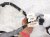 2019 Honda Pilot Passenger Eng Room Harness W/fuse 3.5l Awd 3210A TG7 A02 Replacement 2019 Honda Pilot Passenger Eng Room Harness W/fuse 3.5l Awd 3210A TG7 A02 Replacement thumbnail