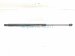 2021 Ford Ranger Driver Hood Strut / Lift Cylinder KB3B 16C827 AC Replacement 2021 Ford Ranger Driver Hood Strut / Lift Cylinder KB3B 16C827 AC Replacement thumbnail
