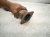2021 Nissan Sentra Catalytic Downpipe Exhaust Pipe W/converter 200A0 9AU2A Replacement 2021 Nissan Sentra Catalytic Downpipe Exhaust Pipe W/converter 200A0 9AU2A Replacement thumbnail