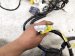 2023 Honda Ridgeline Instrument Panel Harness 3.5l Awd 32117 T6Z AK0 Replacement 2023 Honda Ridgeline Instrument Panel Harness 3.5l Awd 32117 T6Z AK0 Replacement thumbnail