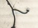 2021 Tesla Model Y Rear Bumper Parking Sensor Harness 1489046 00 C Replacement 2021 Tesla Model Y Rear Bumper Parking Sensor Harness 1489046 00 C Replacement thumbnail