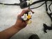 2017 Honda HR V Passenger Eng Room Harness W/fuse 1.8l Fwd 32100 T7S A01 Replacement 2017 Honda HR V Passenger Eng Room Harness W/fuse 1.8l Fwd 32100 T7S A01 Replacement thumbnail