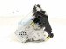 2021 Lexus Is300 Audio/radio Receiver 86140 53640 Replacement 2021 Lexus Is300 Audio/radio Receiver 86140 53640 Replacement thumbnail