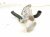 2022 Honda Accord Egr Cooler 2.0l Hybrid 18720 6C1 A01 Replacement 2022 Honda Accord Egr Cooler 2.0l Hybrid 18720 6C1 A01 Replacement thumbnail