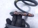 2020 Toyota Camry Strut / / Shock Absorber Rear Passenger Coil Spring 2.5l 48231 06880 Replacement 2020 Toyota Camry Strut / / Shock Absorber Rear Passenger Coil Spring 2.5l 48231 06880 Replacement thumbnail
