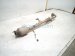 2016 Honda Accord Catalytic Converter Exhaust Pipe 18150 5A3 L51 Replacement 2016 Honda Accord Catalytic Converter Exhaust Pipe 18150 5A3 L51 Replacement thumbnail