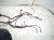 2023 Honda Ridgeline Rear Body Wire Harness 32108 T6Z AK0 Replacement 2023 Honda Ridgeline Rear Body Wire Harness 32108 T6Z AK0 Replacement thumbnail
