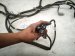 2023 Honda Ridgeline Rear Body Wire Harness 32108 T6Z AK0 Replacement 2023 Honda Ridgeline Rear Body Wire Harness 32108 T6Z AK0 Replacement thumbnail