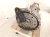 2022 BMW X3 Automatic Transmission = Mi 24 00 5 A8E 659 Replacement 2022 BMW X3 Automatic Transmission = Mi 24 00 5 A8E 659 Replacement thumbnail