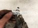 2017 BMW Mini Cooper Front Passenger Brake Caliper 34 11 6 860 266 Replacement 2017 BMW Mini Cooper Front Passenger Brake Caliper 34 11 6 860 266 Replacement thumbnail