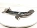 2017 BMW Mini Cooper Front Passenger Lower Control Arm 31 12 6 879 842 Replacement 2017 BMW Mini Cooper Front Passenger Lower Control Arm 31 12 6 879 842 Replacement thumbnail