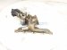 2017 BMW Mini Cooper Turbocharger 11 65 8 626 637 Replacement 2017 BMW Mini Cooper Turbocharger 11 65 8 626 637 Replacement thumbnail