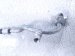 2025 Subaru Crosstrek Ac Pipe Line A/c Discharge Hose 2.0l 73424FN000 Replacement 2025 Subaru Crosstrek Ac Pipe Line A/c Discharge Hose 2.0l 73424FN000 Replacement thumbnail