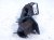 2025 Subaru Crosstrek Engine/motor A/t Transmission Mount 2.0l Awd 41022FL060 Replacement 2025 Subaru Crosstrek Engine/motor A/t Transmission Mount 2.0l Awd 41022FL060 Replacement thumbnail