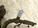 2020 Ford Mustang Battery Cable Harness 5.0l LR3T 14B060 DD Replacement 2020 Ford Mustang Battery Cable Harness 5.0l LR3T 14B060 DD Replacement thumbnail