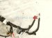 2020 Ford Mustang Battery Cable Harness 5.0l LR3T 14B060 DD Replacement 2020 Ford Mustang Battery Cable Harness 5.0l LR3T 14B060 DD Replacement thumbnail
