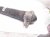 2023 Volkswagen Golf Gti Strut / Spring / Rear Driver Shock Absorber 5WA 513 045 AM Replacement 2023 Volkswagen Golf Gti Strut / Spring / Rear Driver Shock Absorber 5WA 513 045 AM Replacement thumbnail