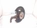 2023 Volkswagen Golf Gti Axle Stub Rear Driver Spindle Knuckle Hub 5WA 505 435 F Replacement 2023 Volkswagen Golf Gti Axle Stub Rear Driver Spindle Knuckle Hub 5WA 505 435 F Replacement thumbnail