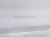 2023 Volkswagen Golf Gti Front Driver Door White No Mirror/trim* 5H4 831 055 M Replacement 2023 Volkswagen Golf Gti Front Driver Door White No Mirror/trim* 5H4 831 055 M Replacement thumbnail