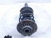 2016 BMW 328i Front Driver Strut Absorber + Spring 3131 6873797 01 Replacement 2016 BMW 328i Front Driver Strut Absorber + Spring 3131 6873797 01 Replacement thumbnail