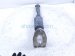 2016 BMW 328i Strut / Spring / Rear Driver Shock Absorber 33 52 6 873 799 Replacement 2016 BMW 328i Strut / Spring / Rear Driver Shock Absorber 33 52 6 873 799 Replacement thumbnail