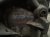 2016 BMW 328i Rear Differential 33 10 7 603 748 Replacement 2016 BMW 328i Rear Differential 33 10 7 603 748 Replacement thumbnail