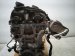2016 BMW 328i Long Block Engine / Motor = 72k Mi 7587604 Replacement 2016 BMW 328i Long Block Engine / Motor = 72k Mi 7587604 Replacement thumbnail