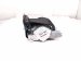 2016 BMW 328i Front Passenger Seat Belt Black 34107541 Replacement 2016 BMW 328i Front Passenger Seat Belt Black 34107541 Replacement thumbnail
