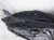 2016 BMW 328i Rear Passenger Door Black No Inside Trim* 51 35 7 259 820 Replacement 2016 BMW 328i Rear Passenger Door Black No Inside Trim* 51 35 7 259 820 Replacement thumbnail