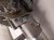 2023 Kia Telluride Shaft Steering Column Assy 3.8l Awd Driver 56310 S9550 Replacement 2023 Kia Telluride Shaft Steering Column Assy 3.8l Awd Driver 56310 S9550 Replacement thumbnail
