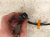2019 Toyota Tacoma Driver Exhaust Air Fuel Oxygen Sensor 89467 04120 Replacement 2019 Toyota Tacoma Driver Exhaust Air Fuel Oxygen Sensor 89467 04120 Replacement thumbnail