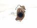 2019 Toyota Tacoma Catalytic Passenger Exhaust Manifold W/conv 3.5l 17140 0P320 Replacement 2019 Toyota Tacoma Catalytic Passenger Exhaust Manifold W/conv 3.5l 17140 0P320 Replacement thumbnail