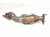 2019 Toyota Tacoma Catalytic Passenger Exhaust Manifold W/conv 3.5l 17140 0P320 Replacement 2019 Toyota Tacoma Catalytic Passenger Exhaust Manifold W/conv 3.5l 17140 0P320 Replacement thumbnail
