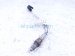2024 Honda Accord Upper Laf Oxygen Sensor Hybrid 36531 6MA J01 Replacement 2024 Honda Accord Upper Laf Oxygen Sensor Hybrid 36531 6MA J01 Replacement thumbnail