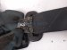 2018 Toyota Camry Rear Mid Seat Belt Retractor Black 73350 33120 C1 Replacement 2018 Toyota Camry Rear Mid Seat Belt Retractor Black 73350 33120 C1 Replacement thumbnail
