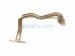 2022 Honda Accord Egr Pipe 2.0l Hybrid 18717 6C1 A00 Replacement 2022 Honda Accord Egr Pipe 2.0l Hybrid 18717 6C1 A00 Replacement thumbnail