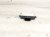 2025 Nissan Kicks Rear Passenger Blind Spot Detection Radar 284N0 4MT0B Replacement 2025 Nissan Kicks Rear Passenger Blind Spot Detection Radar 284N0 4MT0B Replacement thumbnail