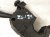 2002 Lexus Sc430 Combo Turn Signal / Wiper Column Switch 84310 24770 Replacement 2002 Lexus Sc430 Combo Turn Signal / Wiper Column Switch 84310 24770 Replacement thumbnail