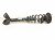 2002 Lexus Sc430 Front Driver Strut Absorber + Spring 48510 80022 Replacement 2002 Lexus Sc430 Front Driver Strut Absorber + Spring 48510 80022 Replacement thumbnail