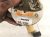 2002 Lexus Sc430 Gas / Fuel Pump (tank Mounted) 77020 30120 Replacement 2002 Lexus Sc430 Gas / Fuel Pump (tank Mounted) 77020 30120 Replacement thumbnail